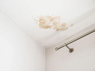 About Elsinboro Mold Removal Services - mold remediation contractor experts in Elsinboro